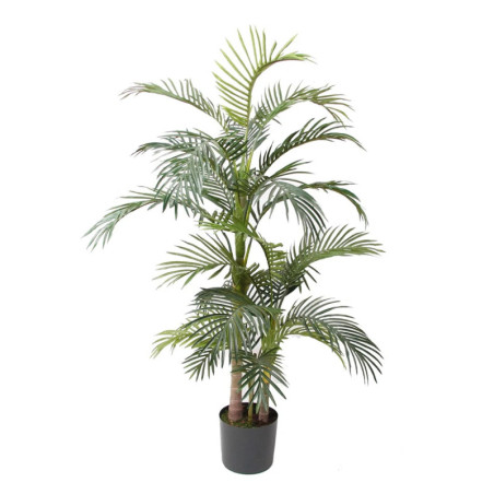 ARECA PALMU VI RUUKUSSA K 130 CM