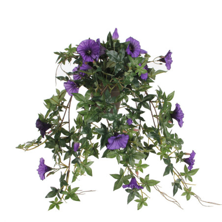 PETUNIA VIOLETTI ROIKKUVA RUUKUSSA