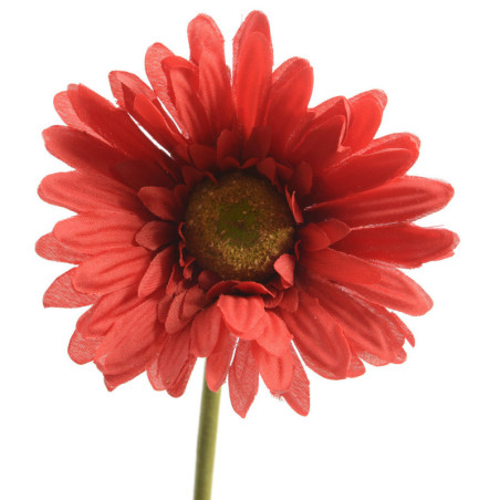 GERBERA PUNAINEN