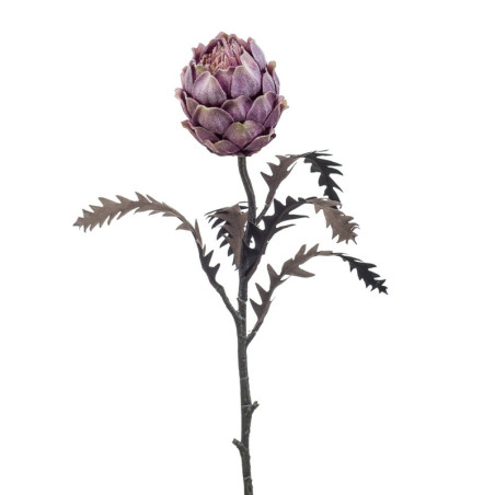 PROTEA OKSA HARMAAN VIOLETTI