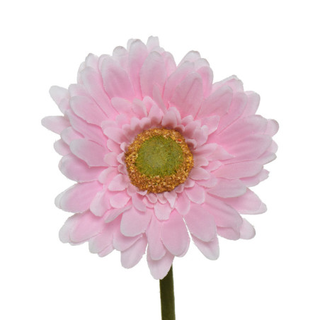 GERBERA VPU