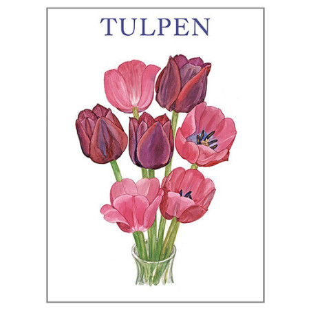 KORTTIPK/8 TULPPAANI