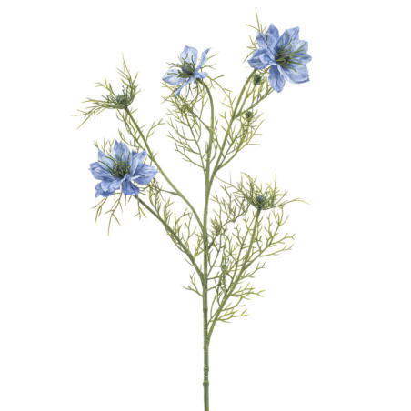 NIGELLA OKSA SININEN P68 CM