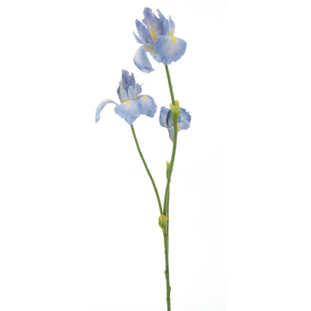 IIRIS V.SININEN P 103CM