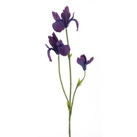 IIRIS T.VIOLETTI P 103CM