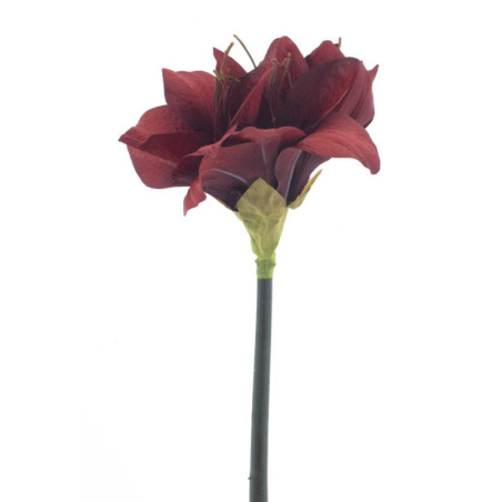 AMARYLLIS LEIKKO PUNAINEN 52 CM